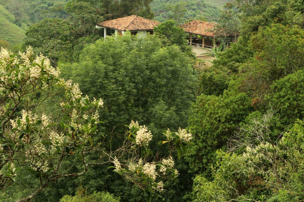 Eco Hotel El Columpio Salento Exterior foto